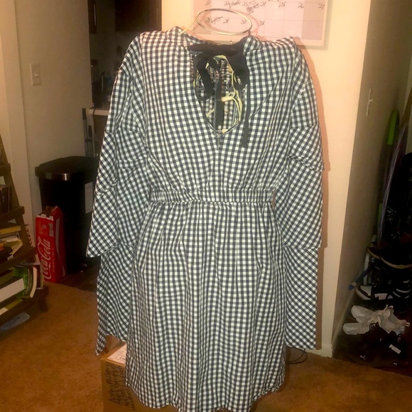 Walter Baker Gingham Plaid long sleeve dress - Picture 1 of 6